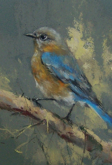 Mike Beeman - Work Detail: Bluebird