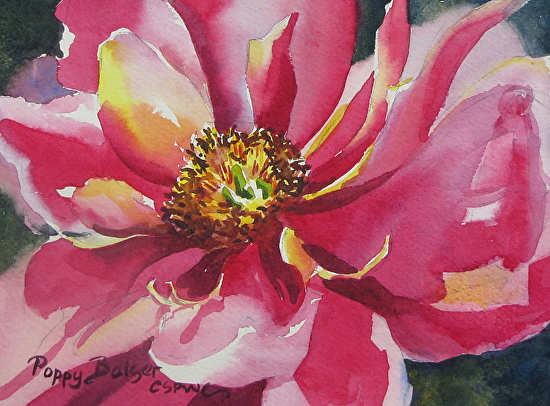 Poppy Balser - Work Detail: Pink Peony