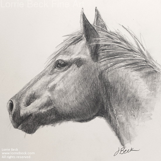 Lorrie Beck - Work Detail: Original Pencil Drawing "Horse Head Study"