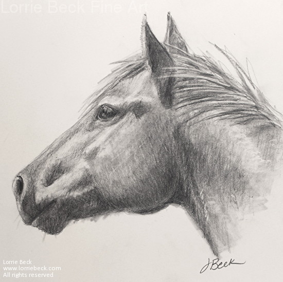 Lorrie Beck - Work Zoom Original Pencil Drawing Horse