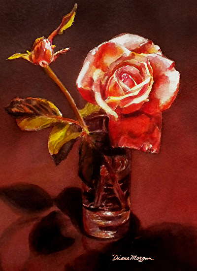 Diane Morgan - Work Zoom: Sunset Rose