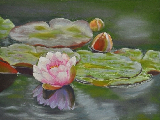 Dorothea Schulz - Work Zoom: Water lily