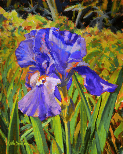 Keith Burgess - Work Zoom: Purple Iris